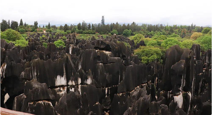 1686886220203658.png 微信圖片_20230616112511.png